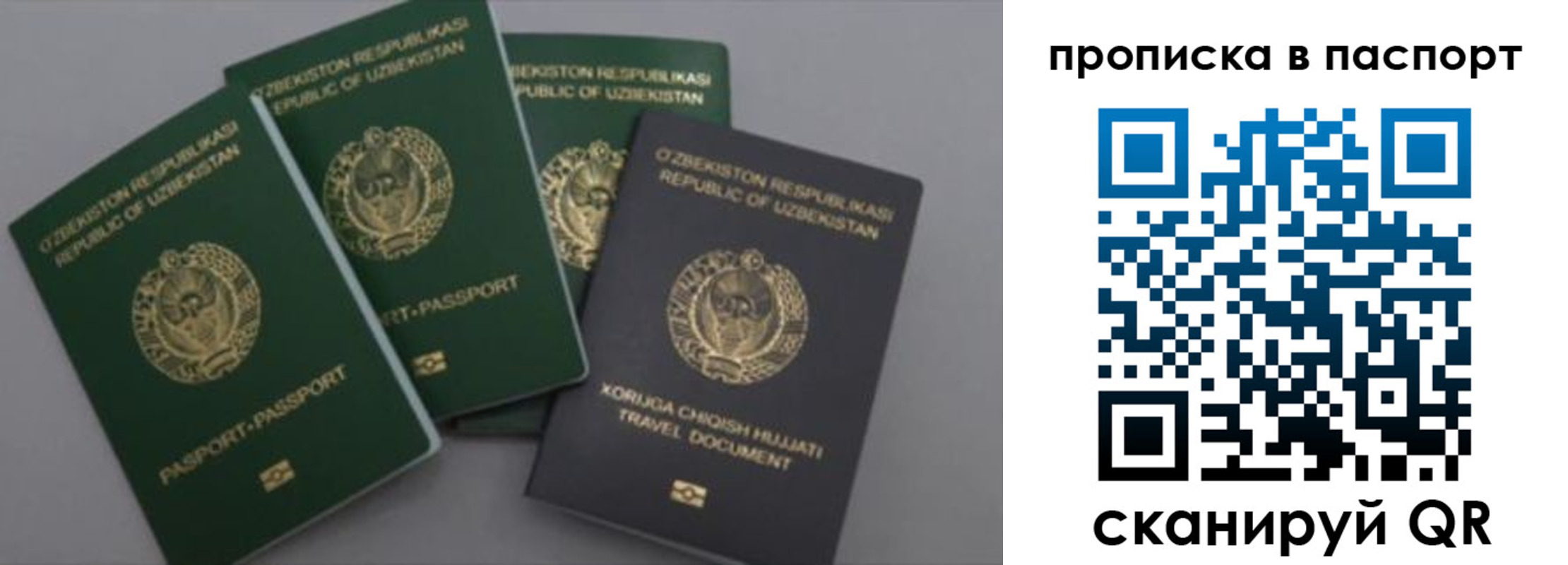 временная прописка в Хотьково